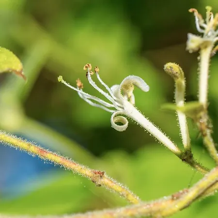 The Wild Seeds Bed & Breakfast Chauvigny