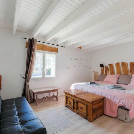 The Wild Seeds Chauvigny