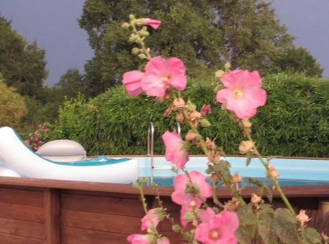 Bed & Breakfast The Wild Seeds Chauvigny