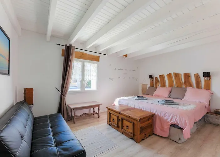 The Wild Seeds Chauvigny